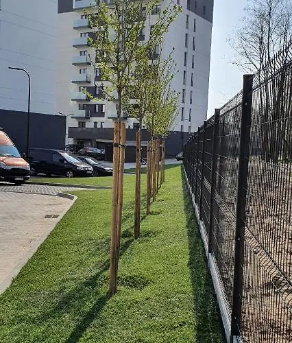 Apple - Mickiewicza Prywatne Miejsce Parkingowe * Łódź