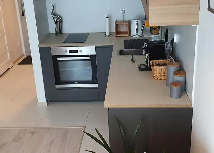 Apple - Mickiewicza Prywatne Miejsce Parkingowe * 罗兹